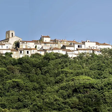 Villa Azzurra Front Beach - Pool - Happy Rentals * サントロペ